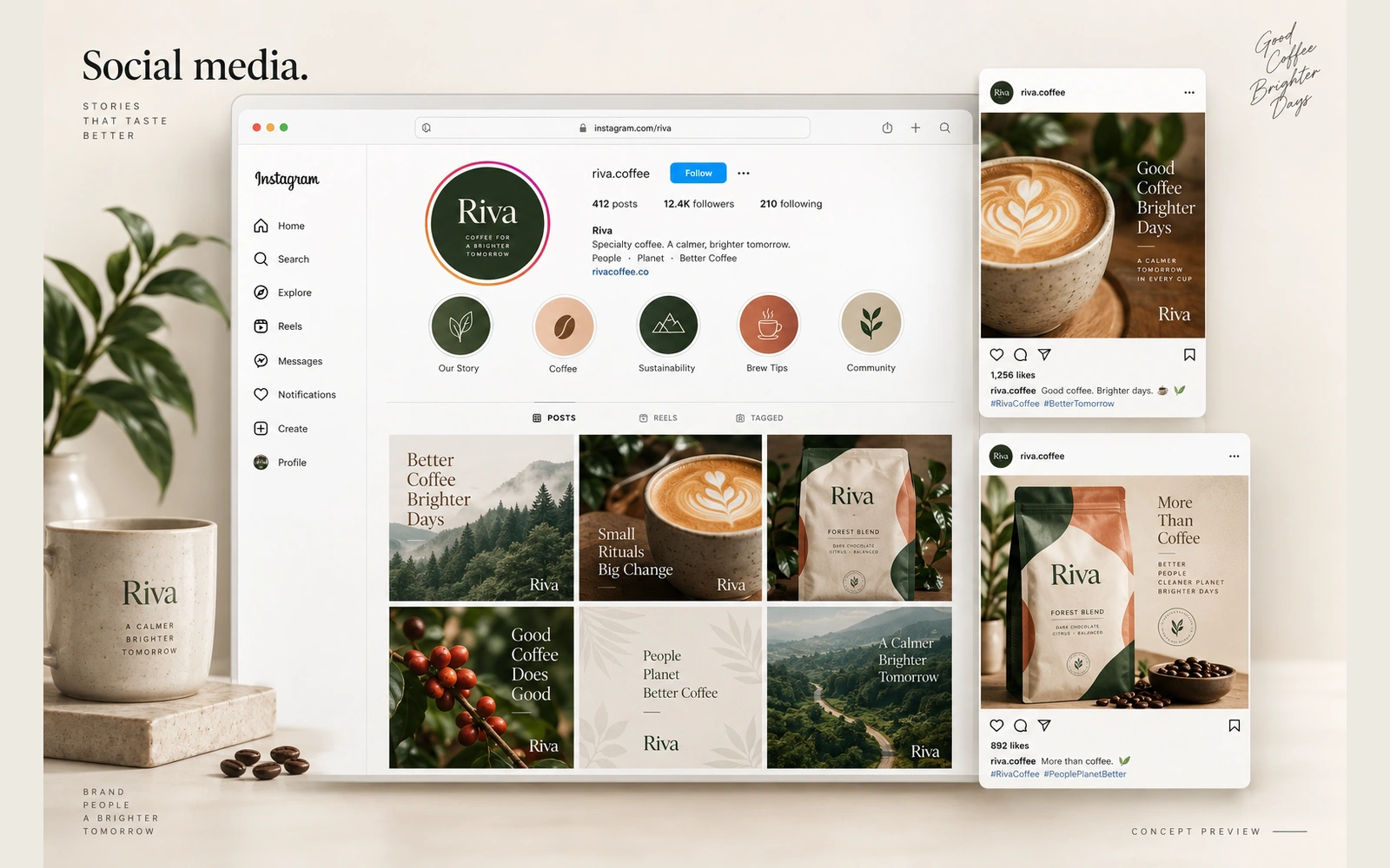 Content & visual identity design concept